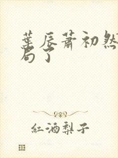 叶辰萧初然大结局了封面