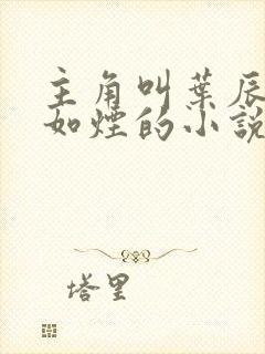 主角叫叶辰和柳如烟的小说