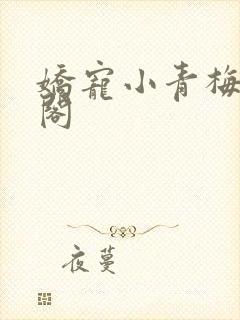 娇宠小青梅笔趣阁