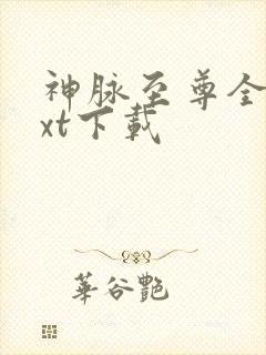 神脉至尊全文txt下载