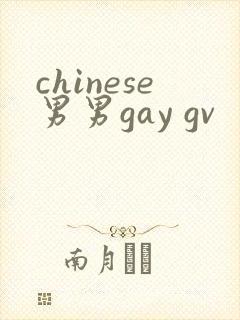 chinese男男gay gv封面