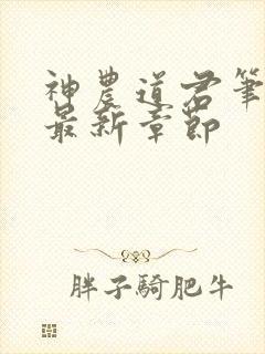 神农道君笔趣阁最新章节封面