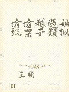 偷偷越过她by甄栗子类似小说封面