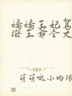 娇娇王妃驾到撩拨王爷全文免费阅读封面