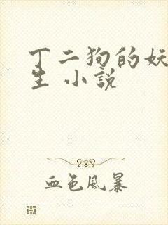 丁二狗的妖孽人生 小说