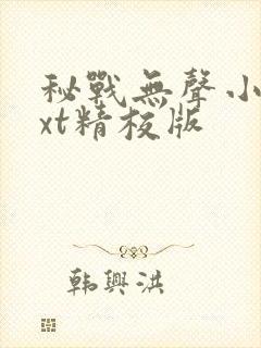 秘战无声小说txt精校版