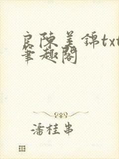 良陈美锦txt笔趣阁