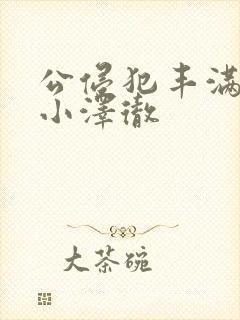 公侵犯丰满人妻小泽彻封面