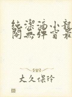 纯洁滴小龙笔趣阁无弹窗最新章节阅封面