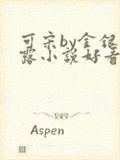 可宋by金银花露小说好看吗封面