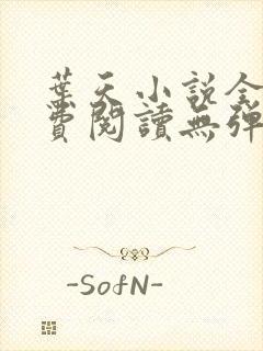 叶天小说全文免费阅读无弹窗