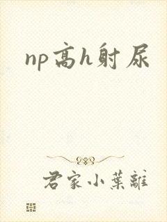 np高h射尿封面