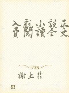 入戏小说正版免费阅读全文无弹窗