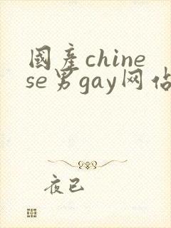 国产chinese男gay网站