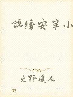 锦绣安宁小说封面