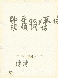 帅哥gay互操视频网站