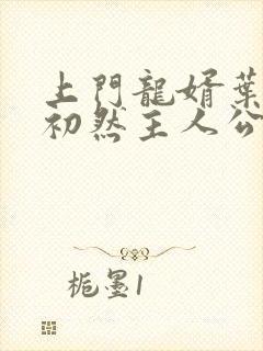 上门龙婿叶辰萧初然主人公