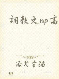 调教文np高h