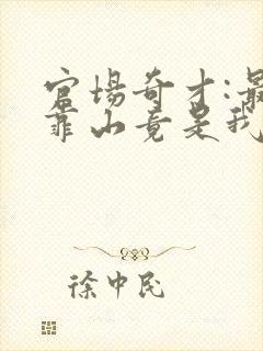 官场奇才:最强靠山竟是我自己李澜全本阅