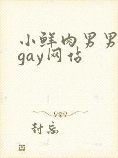 小鲜肉男男同性gay网站封面