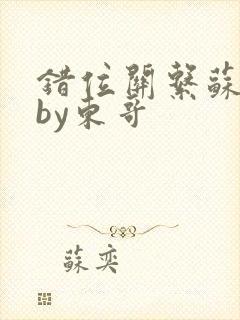 错位关系苏玛丽by东哥