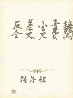 反差小青梅小说全文免费阅读封面