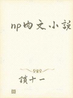 np肉文小说