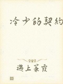 冷少的契约囚奴