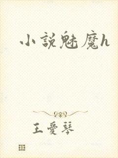 小说魅魔h