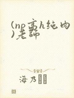 (np高h纯肉)老师