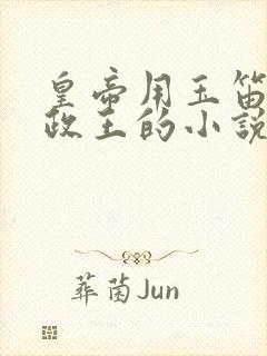 皇帝用玉笛整摄政王的小说封面