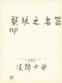 系统之名器攻略np