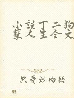 小说丁二狗的妖孽人生全文