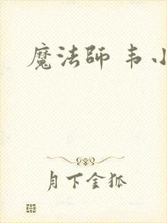 魔法师 韦小宝封面