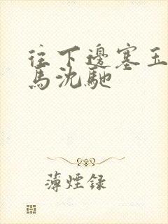 往下边塞玉器骑马沈驰封面