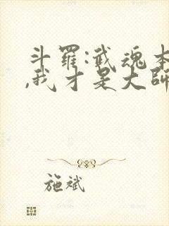 斗罗:武魂本体,我才是大师免费阅读封面