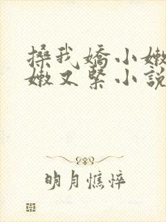 搡我娇小嫩苞又嫩又紧小说