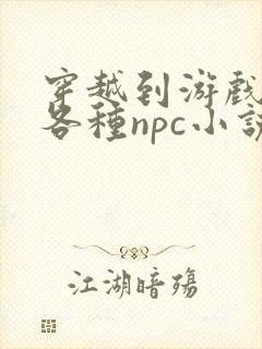 穿越到游戏里和各种npc小说