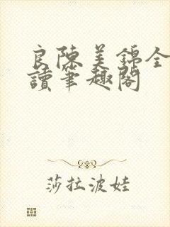 良陈美锦全文阅读笔趣阁