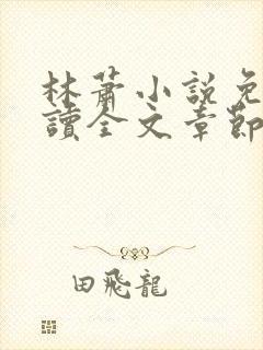 林萧小说免费阅读全文章节封面