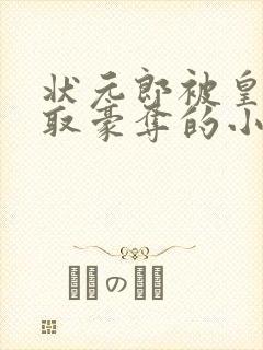状元郎被皇上强取豪夺的小说