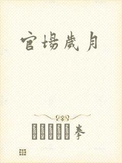 官场岁月