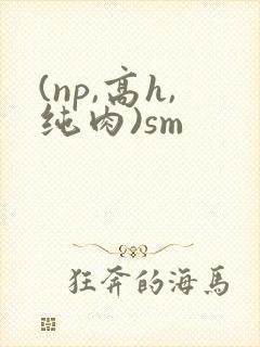 (np,高h,纯肉)sm