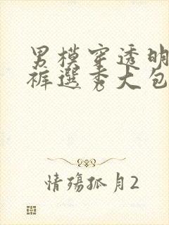 男模穿透明三角裤选秀大包封面