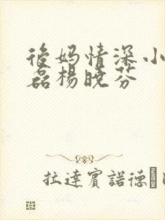 后妈情深小说王磊杨晓芬封面