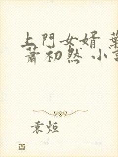 上门女婿 叶辰 萧初然 小说