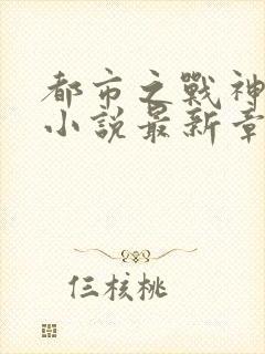 都市之战神无双小说最新章节