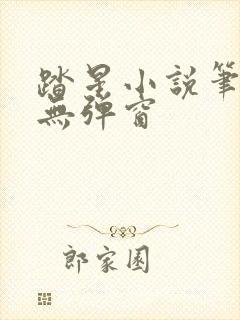 踏星小说笔趣阁无弹窗