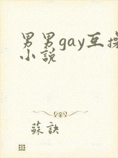 男男gay互操小说