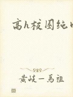 高h校园纯肉